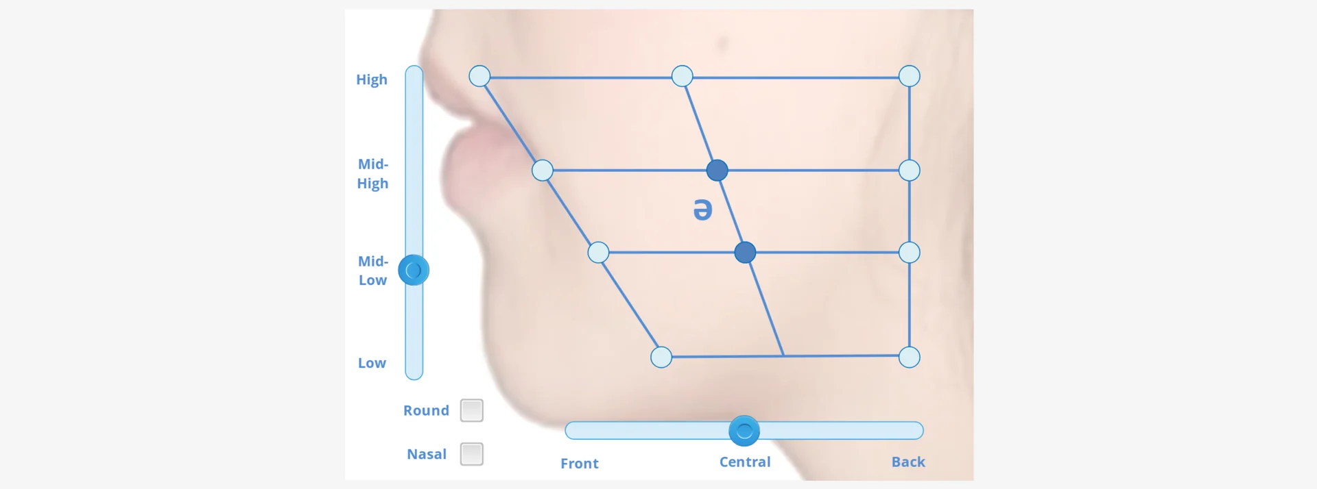 French vowel articulation explorer
